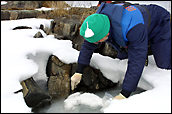 Volunteers use hovercraft, snowmobiles, hydrocopters for nature observations
