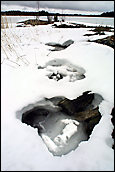 Endangered species Saimaa Seal lair